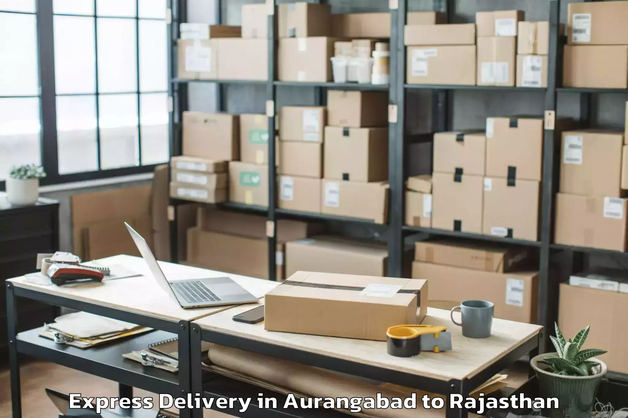 Professional Aurangabad to The Iis University Jaipur Express Delivery